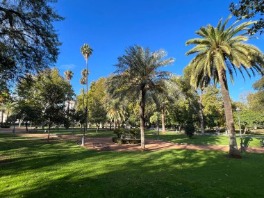 Cordoba İspanya 'ya park et.