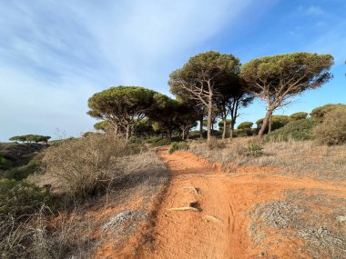 Dirt road around Conil de la Frontera in Spain