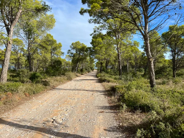 Estrada Cascalho Através Parc Natural Del Montgr Torno Estartit Escala — Fotografia de Stock