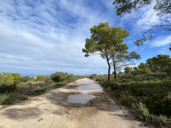 Droga Żwirowa Przez Parc Natural Del Montgr Wokół Estartit Escala — Zdjęcie stockowe