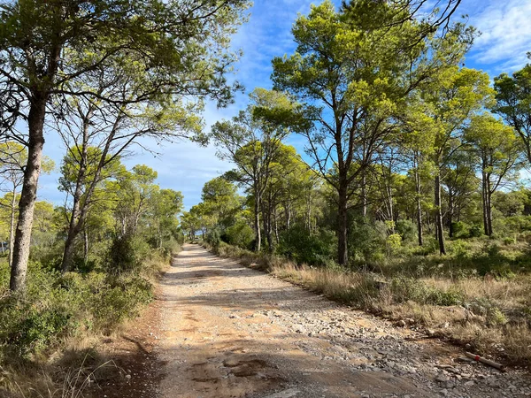 Estrada Cascalho Através Parc Natural Del Montgr Torno Estartit Escala — Fotografia de Stock