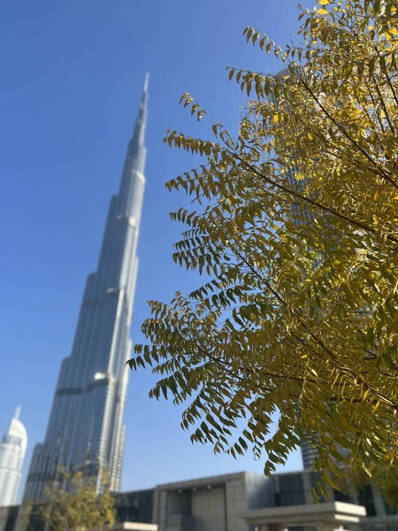 Downtown Dubai Wieżą Burj Kalifa Emiratach Arabskich — Zdjęcie stockowe