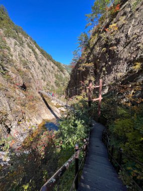 Güney Kore 'deki Seoraksan Ulusal Parkı' ndaki köprü.