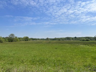 Hollanda Drenthe 'de Taarlo' da manzara