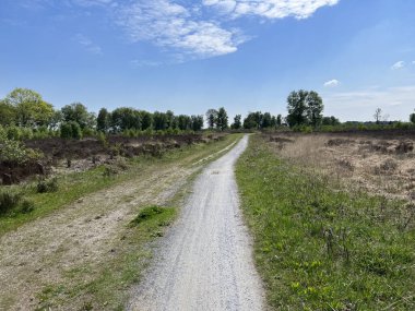 Hollanda Drenthe 'de Balloerveld çevresindeki çakıl yolu