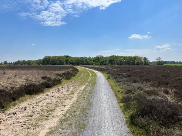 Hollanda Drenthe 'de Balloerveld çevresindeki çakıl yolu