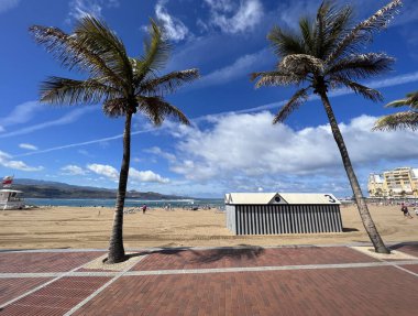 Las Palmas de Gran Canaria 'daki Playa de Las Canteras