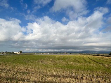 İspanya 'daki Delta de l' Ebre Doğa Koruma Alanı 'nda Manzara