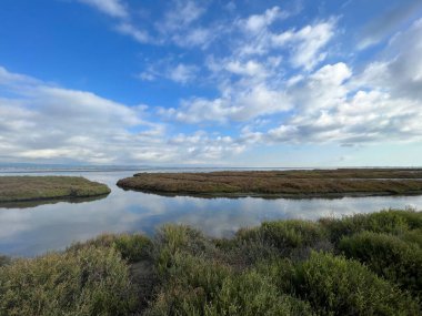 İspanya 'daki Delta de l' Ebre Doğa Koruma Alanı 'nda Manzara