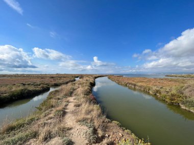 İspanya 'daki Delta de l' Ebre Doğa Koruma Alanı 'nda Manzara