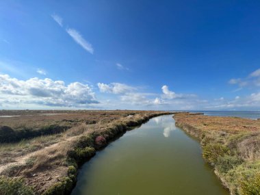 İspanya 'daki Delta de l' Ebre Doğa Koruma Alanı 'nda Manzara