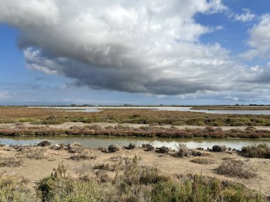 İspanya 'daki Delta de l' Ebre Doğa Koruma Alanı 'nda Manzara