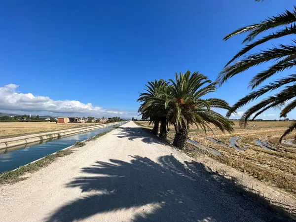 İspanya 'da Camarles çevresindeki yol