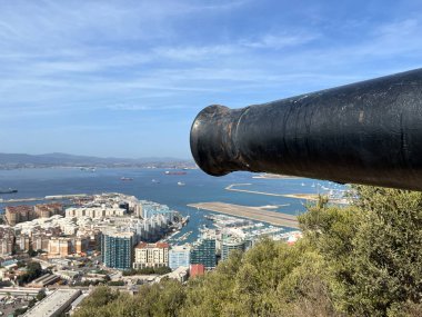 Avrupa 'nın Cebelitarık bölgesindeki yüksek kaya doğa rezervinde top.