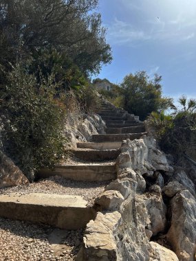 Cebelitarık 'taki Kayalıklarda Doğa Koruma Alanı Avrupa