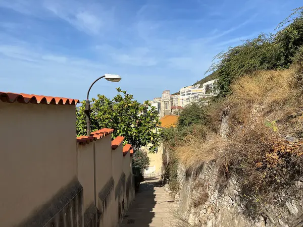 Лестница Заповеднике Гибралтар Европа — стоковое фото