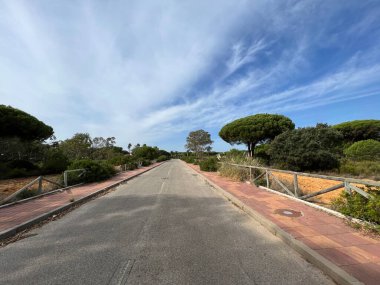 Endülüs İspanya 'da Chiclana de la frontera çevresindeki yol