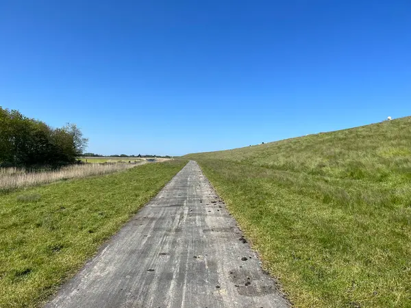 Friesland, Hollanda 'daki Wierum' daki lezbiyenin bisiklet yolu.