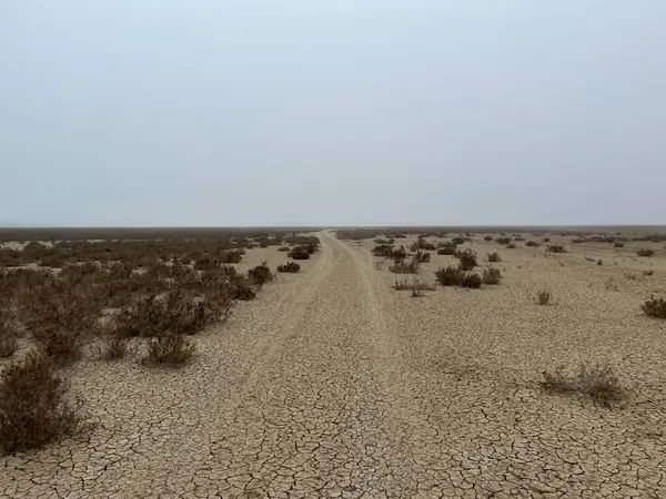 スペインのサンルカ バラメダ周辺のドナナ国立公園で乾燥地面 ストック写真