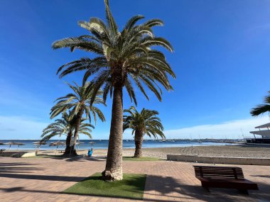 İspanya 'da Los Narejos ve Los Alcazares körfezindeki sahil.