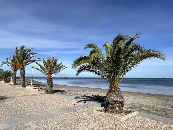 Plaża Zatoce Los Narejos Los Alcazares Hiszpanii Obraz Stockowy