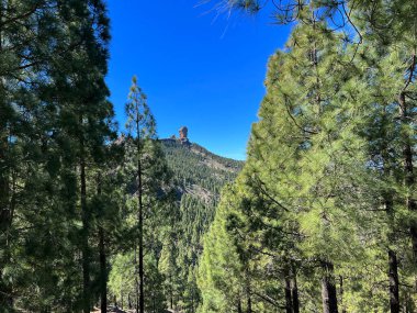 Gran Canaria 'da Roque Nublo