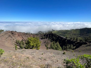 Pinos de Galdar Kanarya Adası 'na Bakış Açısı