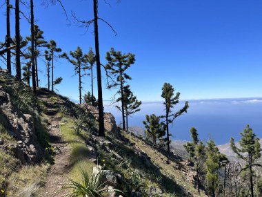 Tamadaba Doğal Parkı 'nda Büyük Kanarya adasında yürüyüş yapmak
