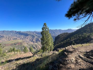 Tamadaba Doğal Parkı 'nda Büyük Kanarya adasında yürüyüş yapmak