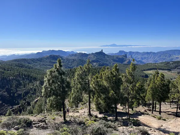 Widok Pico Las Nieves Wyspę Gran Canaria Obraz Stockowy