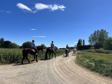 Horse riding around L Estartit in catalonia spain clipart