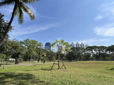 Bangkok Tayland 'daki Benchakitti Orman Parkı