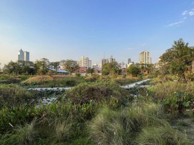 Bangkok Tayland 'daki Benchakitti Orman Parkı