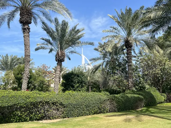 Бурдж Аль Араб Пальмы Дубае Объединенные Арабские Эмираты — стоковое фото