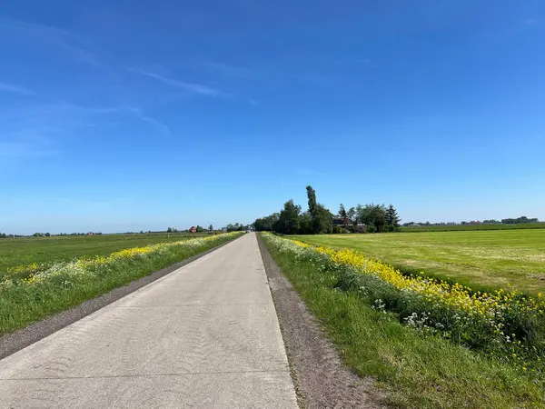 Hollanda Friesland Aldeboardlar Çevresindeki Yol Telifsiz Stok Fotoğraflar