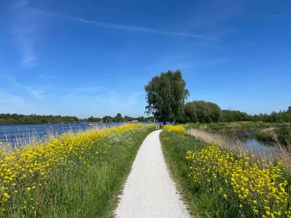 Hollanda Friesland Daki Alde Feanen Milli Parkı Nda Bisiklet Yolu - Stok İmaj