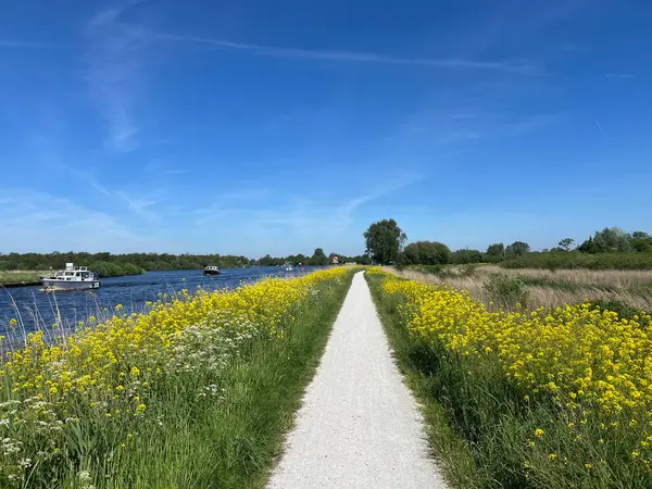 荷兰弗里斯兰的De Alde Feanen国家公园周围的自行车道 免版税图库照片