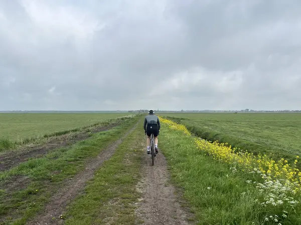 Cycling Farmland Sint Nicolaasga Friesland Netherlands 免版税图库照片