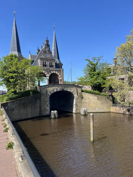荷兰弗里斯兰斯内克的水獭 图库照片