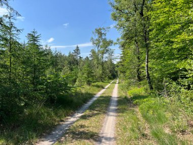 Hollanda, Gelderland 'deki Hatem' in etrafındaki MTB kayıtları.