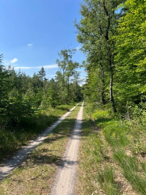 Hollanda, Gelderland 'deki Hatem' in etrafındaki MTB kayıtları.
