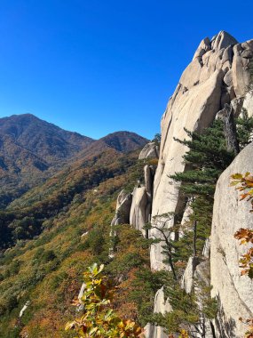 Güney Kore 'deki Seoraksan Ulusal Parkı' ndaki sıradağlarda.