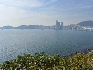 Busan Güney Kore 'deki Huinnyeoul Kültür Köyü' nün kıyı manzarası.