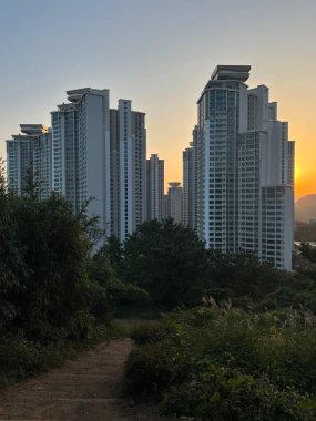 Busan 'daki Oryukdo Gökdeleni etrafındaki gökdelenler