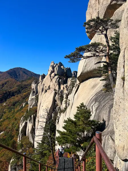 Güney Kore 'deki Seoraksan Ulusal Parkı' ndaki sıradağlarda.