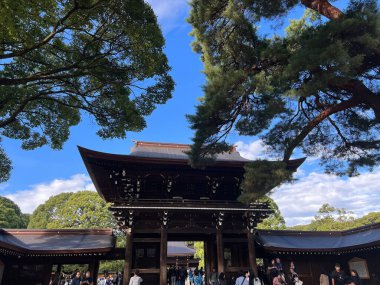 Tokyo, Shibuya 'daki Meiji Jingu Shinto tapınağında kalabalık var.