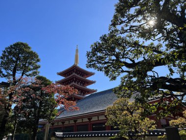 Asakusa, Tokyo, Japonya 'daki Sens ji antik Budist tapınağı çevresindeki sokak.