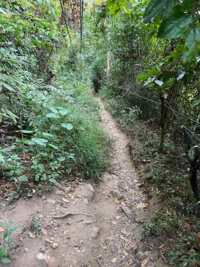 Chang Mai, Tayland 'daki Wat Phra Doi Suthep' e doğru yürüyüş yolu.