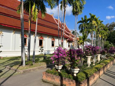 Wat Phra Singh Woramahawihan Budist tapınağı Chiang Mai, Tayland