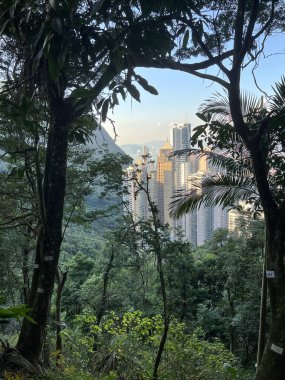 Hong Kong şehrinin ve limanın zirvesinden bir görüntü.